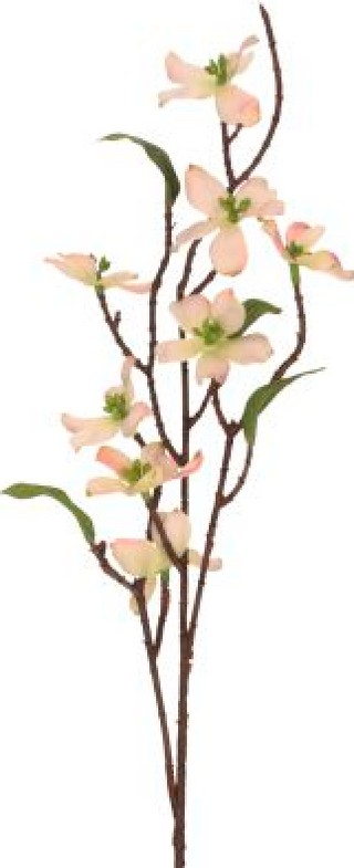 Mini Dogwood Spray