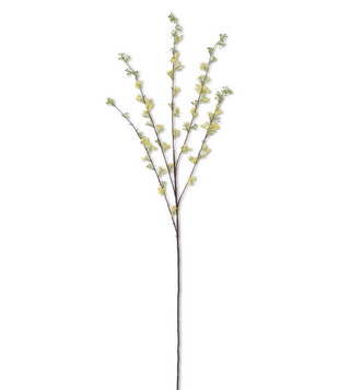 Hoary Willow Spray
