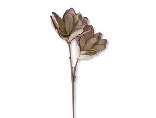 Green and Pink Eva Double Bloom Stem