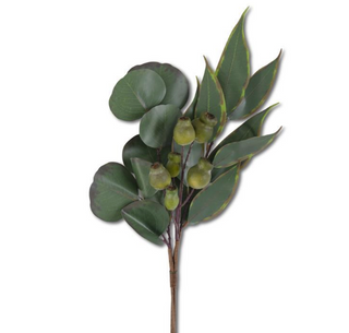 Mixed Eucalyptus Bundle