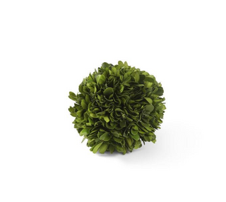 Preserved Boxwood Mini Ball 2.5 In