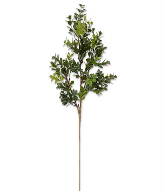 Boxwood Spray
