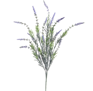Lavender Bush