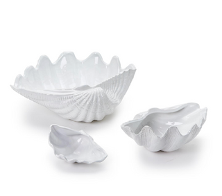 Fluted Clam Shells