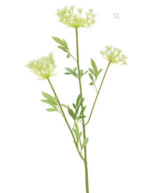 Lace Flower