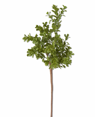 18 Inch Real Touch Boxwood Pick