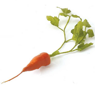 Orange Carrot