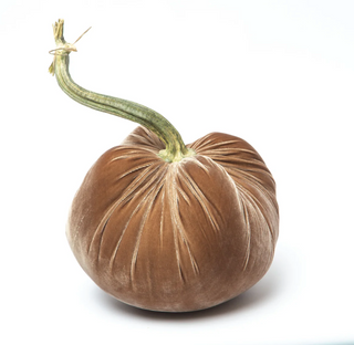 Mocha Silk Velvet Pumpkin