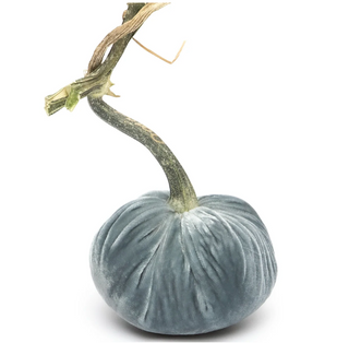Lake Silk Velvet Pumpkin
