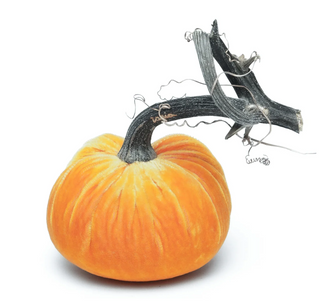 Carrot Silk Velvet Pumpkin