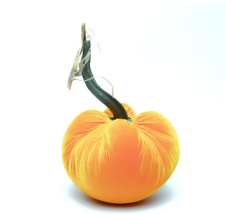 Carrot Silk Velvet Pumpkin