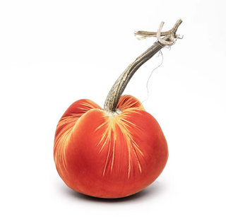 Persimmon Silk Velvet Pumpkin