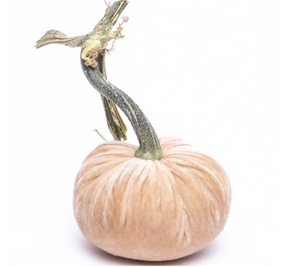 Bone Silk Velvet Pumpkin