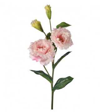 20" real touch Lisianthus