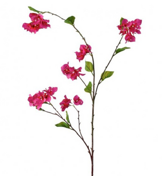 55" Bougainvillea Branch