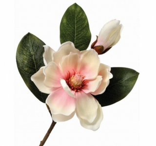 14" Magnolia Bud Pick
