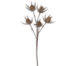 42 Inch Tan & Gray 5 Bloom Stem
