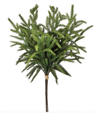 17" Real Touch Norfolk Pine Bundle