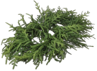 36"JUSTCUT NORFOLK PINE CENTERPIECE