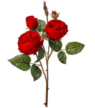 Just Cut Cabbage Rose 23.5" Red