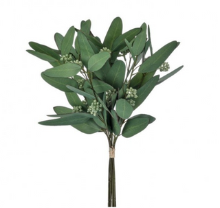 15" Mixed Eucalyptus Bundle