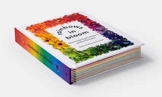 Rainbow in Bloom
