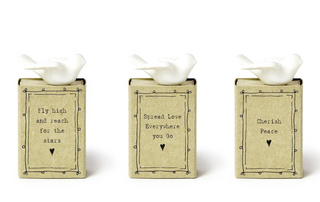 Dove in Matchbox