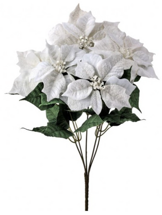 18" Premium Glitter Poinsettia Bush, White