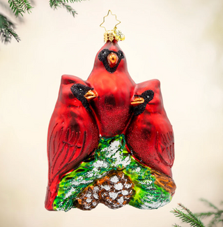 Cardinal Garden Greetings
