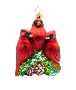 Cardinal Garden Greetings