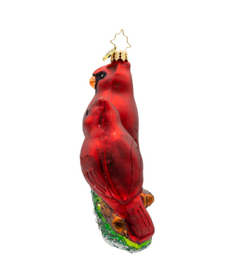Cardinal Garden Greetings