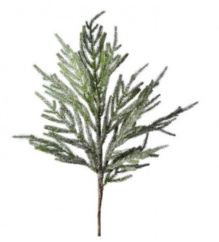 30" Iced Garden Norfolk Pine Branch