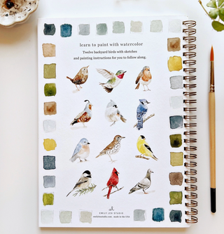 Birds Watercolor Workbook