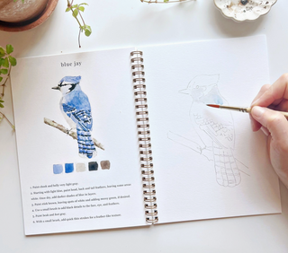 Birds Watercolor Workbook