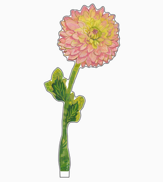 Cafe Au Lait Dahlia Large Acrylic Flower
