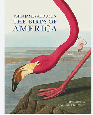 Audubon Birds of America book