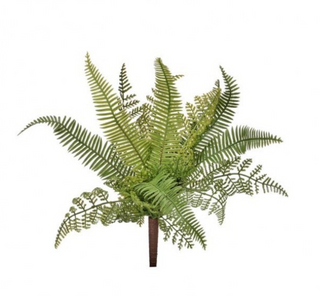 13" Natural Touch Fern Mix Plant