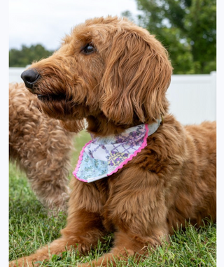 The Pawsome Bandana