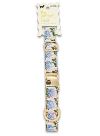 The Pawsome Collar