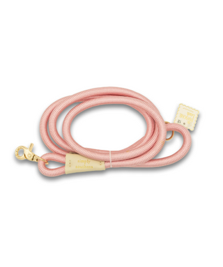 The Pawsome Leash