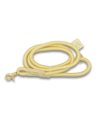 The Pawsome Leash