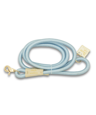 The Pawsome Leash