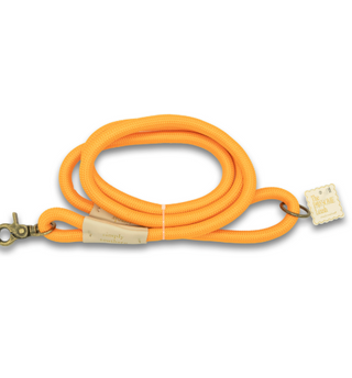 The Pawsome Leash