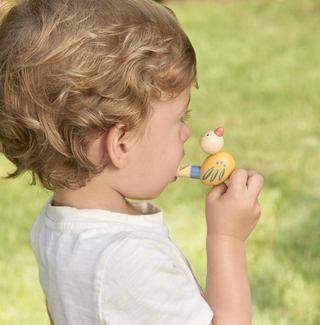 Wooden Bird Wistle