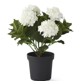 18.75 Inch 5 Bloom Potted Hydrangea w/Faux Dirt