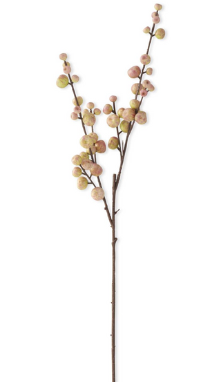 28 Inch Crabapple Stem
