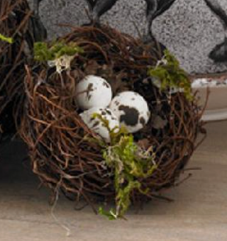 2.5" Nest with Eggs