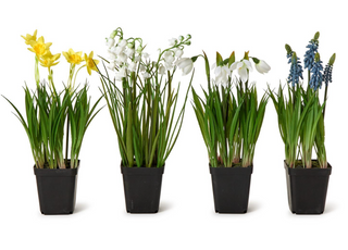 Faux Potted Flowers