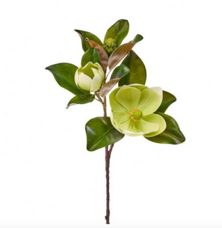 29" Veranda Magnolia