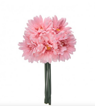 11.5" Soft Touch Gerbera Bundle